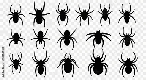 Set of sixteen diverse black spider silhouettes featuring various arachnid species with detailed legs and body shapes, isolated on a transparent grid background for graphic design.