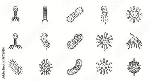 Set of fifteen minimalist black line vector icons depicting various types of viruses, bacteria, microbes, and pathogens including bacteriophages on a clean white background.