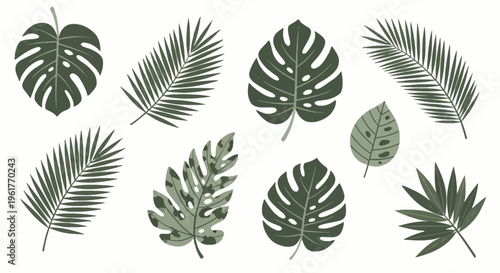Collection of nine tropical leaf illustrations including monstera deliciosa, palm fronds, and jungle foliage in muted green tones isolated on a plain white background vector set.