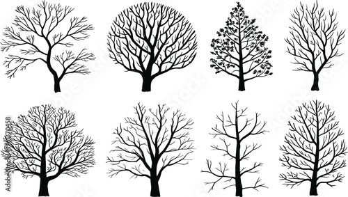 Silhouette illustration of eight deciduous trees with diverse branching patterns, leafless winter forest artwork showing botanical diversity, natural shapes, seasonal design inspiration