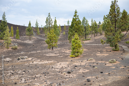 Tenerife island Teide beautiful volcano