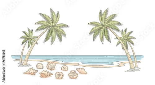 Seashells on the sandy beach.