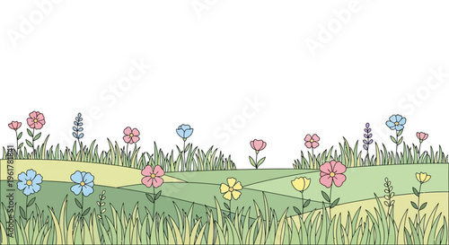 Colorful flowers in a field.