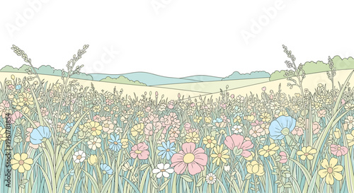 Colorful flowers in a field.