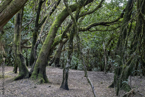 Anaga National Park, Tenerife Island