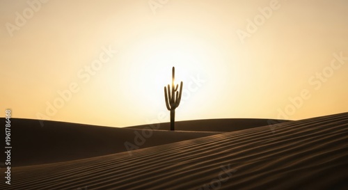 Solitary Saguaro Cactus Silhouette Against a Golden Desert Sunset Horizon