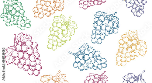 A seamless background pattern of colorful grape bunches hand-drawn in a simple and elegant line art or sketch style.