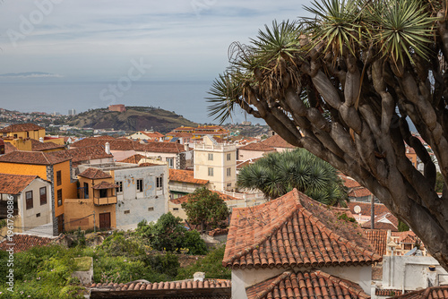 The town of La Orotava on the island of Tenerife