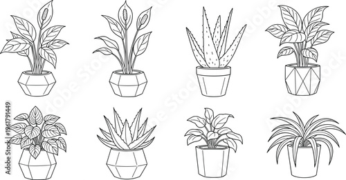 Set of Hand-Drawn Indoor Plants in Pots Including Aloe Vera, Peace Lily, and Other Greenery in Black and White
