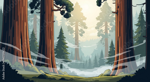 Misty forest landscape with tall trees and foggy atmosphere in a serene natural setting