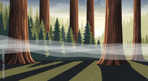 Misty forest landscape with tall trees and foggy atmosphere at sunrise or sunset