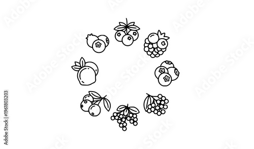 Circular berry thin line icons blueberry elderberry vector design