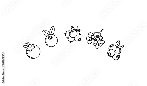 Arc berry thin line icon set blueberry elderberry vector design