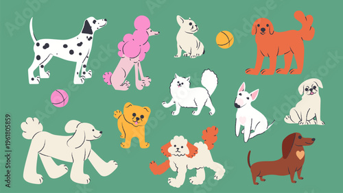 Hand drawn set with dogs. Various dog breeds including poodle, dachshund, dalmatian and bull terrier. Funny pet characters and toys isolated vector illustration.