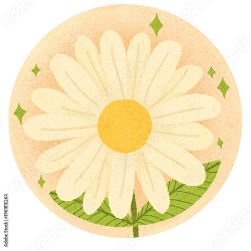 Hand-drawn Daisy Flower Illustration with Sparkles in Round Frame