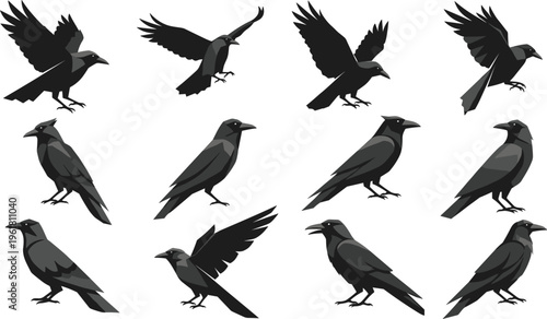 Crow and Raven Icon Set Featuring Flying and Perched Bird Silhouettes for Wildlife, Nature, and Gothic Design Projects