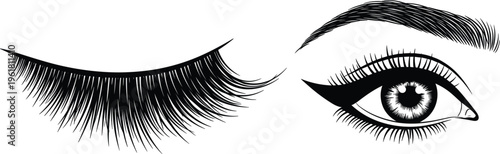 Eye and Eyelash Icon Set Featuring Detailed Female Eye, Eyebrow, and Lash Designs for Beauty, Makeup, and Cosmetic Projects