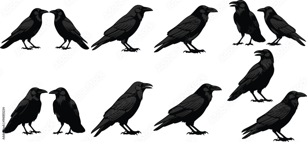 Fototapeta premium Crow Silhouette Icon Set Featuring Various Raven Poses and Bird Illustrations for Wildlife, Nature, and Gothic Design Projects