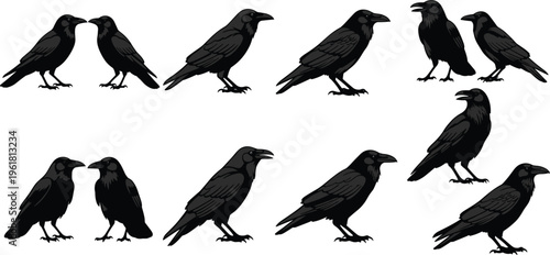 Crow Silhouette Icon Set Featuring Various Raven Poses and Bird Illustrations for Wildlife, Nature, and Gothic Design Projects