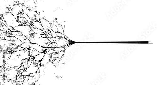 Black neuron with branching dendrites and axon on white background
