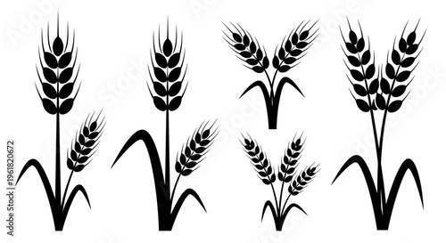 An illustration depicts various wheat plants in a field with different growth stages.