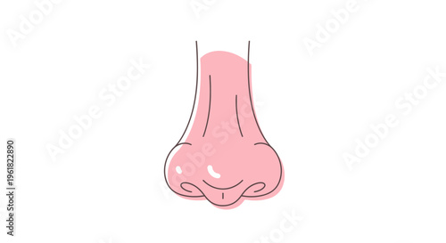 Human nose close up illustration.