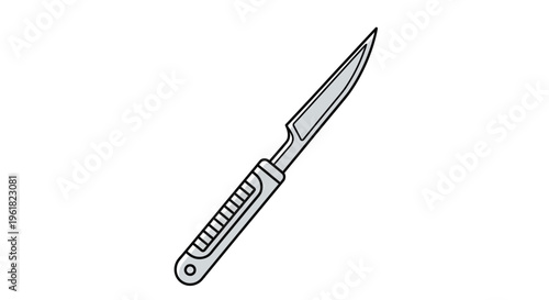 A sharp kitchen utility knife blade.