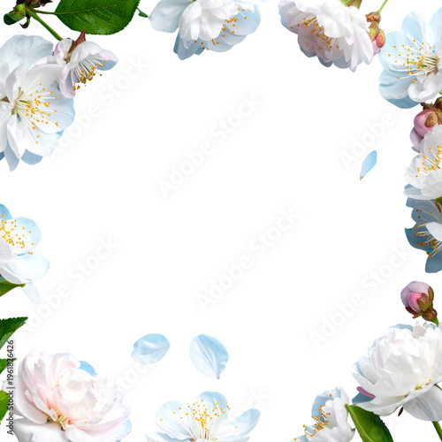 Beautiful floral illustration on a white background.