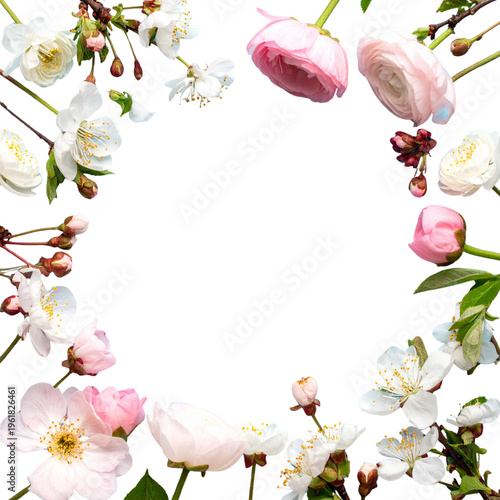 Beautiful floral illustration on a white background.