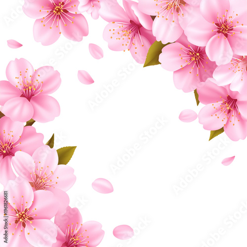 Cherry blossoms bloom beautifully in spring, standing out with their pink petals and blossoming branches.