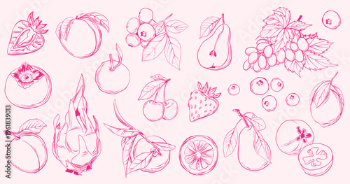 Hand-drawn collection of fresh fruits in pink line art: peaches, cherries, strawberries, dragon fruit, pears, grapes, blueberries, orange slice.