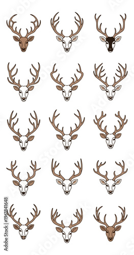 Deer heads set various antler designs wildlife illustrations