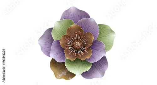 Multi-layered flower with purple, green, and brown petals