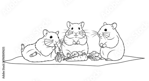 Three cute hamsters eating together outdoors.
