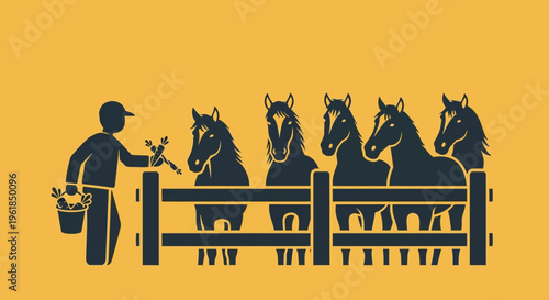 Man feeding horses in a stable.