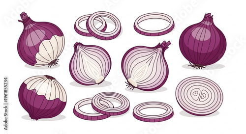 Detailed illustration of red onions whole and sliced showcasing layers and texture on white background