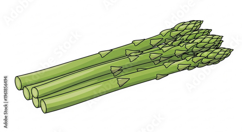Fresh green asparagus spears bunch on white background healthy food vegetable ingredient for cooking meal preparation culinary nutritious organic produce