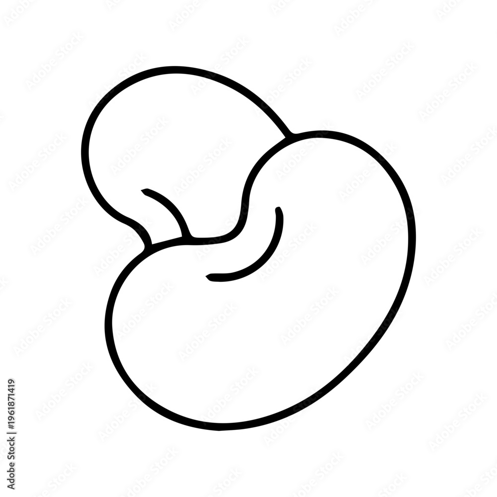 Obraz premium Cashew Nut Outline