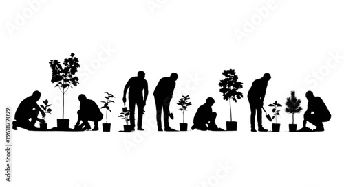People planting trees and plants in a community gardening project