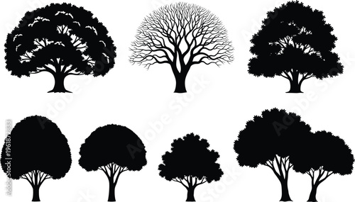 Black silhouette illustrations of diverse tree forms and canopy structures, including leafless branching, rounded, dense, and symmetrical shapes, perfect for botanical studies
