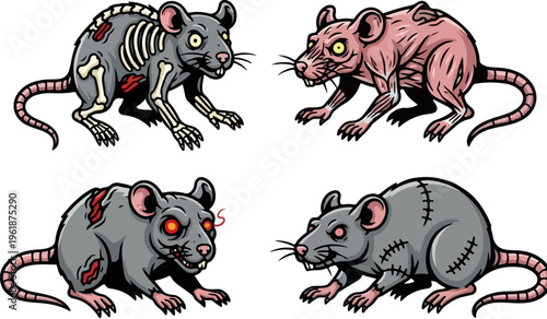 Zombie rat vector set with undead rodent characters, creepy laboratory monster rats with exposed bones and muscles, 4 horror animal illustrations