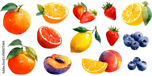 Fresh summer fruit collection painted with watercolors, including oranges, lemons, strawberries, blueberries, peaches, and plums, showcasing natural food and healthy eating concepts