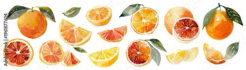 Fresh citrus fruits watercolor collection with whole oranges, blood oranges, grapefruit halves, and lemon slices, creating a vibrant, healthy, and natural food pattern