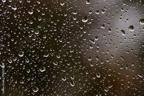 rain  drops on the window