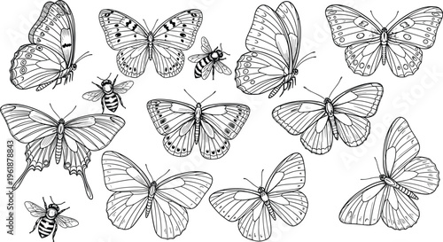 Butterflies and bees silhouette illustration, black and white insect artwork, nature design vector, decorative animal drawing, entomology graphic, flat vector illustration