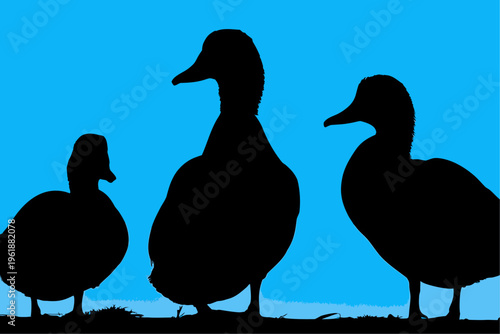 Three Standing Mallard Duck Silhouettes on Flat Blue Background for Nature Wildlife and Environmental Conservation Design