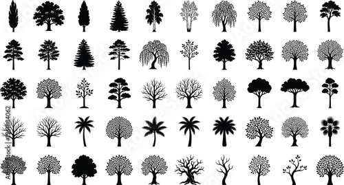 Collection of fifty tree silhouettes, vector illustration of coniferous, palm, deciduous, broadleaf, ornamental trees with varied foliage, flat vector illustration