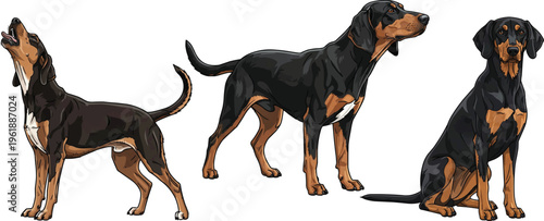 Transylvanian Hound dog howling standing alert sitting pose set