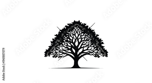 Majestic silhouette of a large, branching tree with a full canopy against a clean white background.