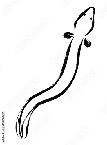 筆タッチの上から見たのうなぎのイラスト
